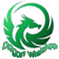 Dragon-WhatsApp-Logo-Thumbnail